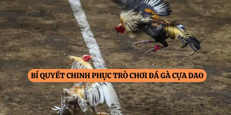 Bí quyết chinh phục trò chơi đá gà cựa dao