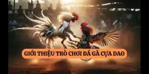 đá gà cựa dao